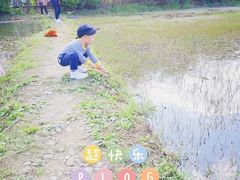 -贵阳市花溪国家城市湿地公园