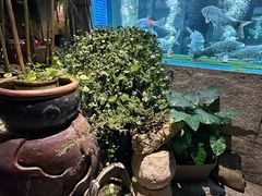 -又见炊烟私房菜(敬亭路店)