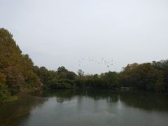 -雨花台烈士纪念馆
