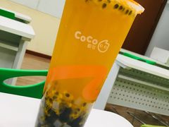 -CoCo都可(骆家庄新店)