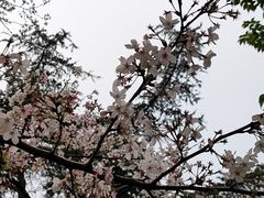 -堤角公园
