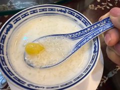 -大中鱼翅 Taitong Shark Fin