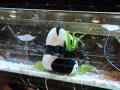 -红辣椒·川菜·火锅(张杨路店)