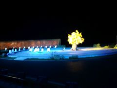 -鼎盛王朝康熙大典实景演出