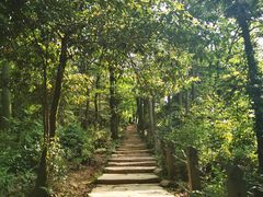 -青城山