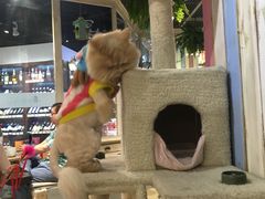 -小时光咖啡馆(开森度假森林店)