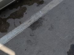 -名骏车业(园区星明店)