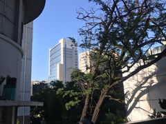 -中国人民大学-博物馆