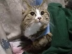 -北京赛佳动物医院