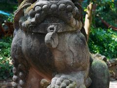 -凤栖山