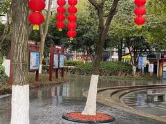 -常州古运河南大街文化旅游区-人民公园