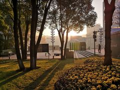 -重庆市江北嘴中央商务区中央公园