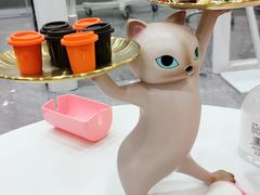 -爱洗澡的猫(天河路店)