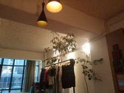 -无界瑜伽普拉提