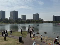 -美兰湖景区