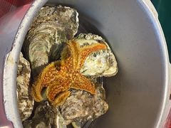 高压锅蒸鲜生蚝-辣小鲜·南昌大排档(船山路店)