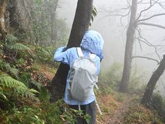-达蓬山旅游度假区