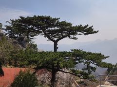 -圣莲山风景区