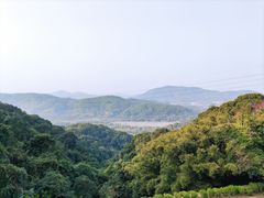 -广州市帽峰山景区