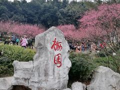 -重庆彩云湖湿地公园