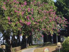 -清湖文化公园