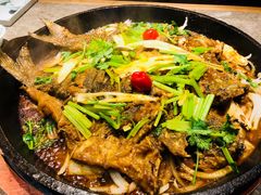 -老板恋上鱼(恒隆广场店)