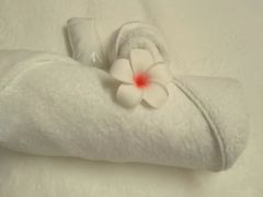 -淳SPA·精油按摩(蓝海御华大饭店)
