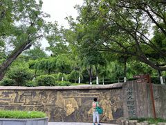 -石老人观光园
