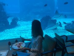-海棠湾洲际-涛·海底餐厅·美人鱼·自助餐·海底隧道