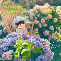 -DORA kids 朵拉儿童摄影花园店