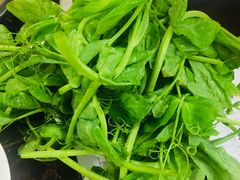 -海关荤豆花(洋河一路店)