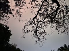 -柳侯公园