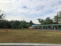 -文华公园(禅城区)