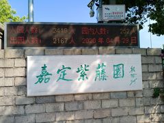 -嘉定紫藤园