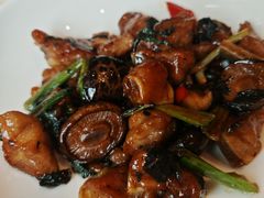 -谭厨中山传家菜.乳鸽.脆鲩鱼(华强北中航城店)