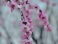 -南长河公园
