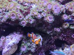 -成都浩海立方海洋公园