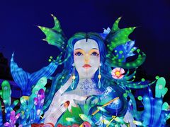 -海合安成都极地海洋公园