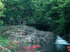 -马峦山郊野公园