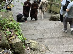 -普陀山风景区-佛顶山