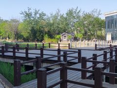 -绿岛公园(滨海新区)
