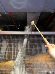 -酷嗒动物文化乐园(cutezoo西溪乐天城店)