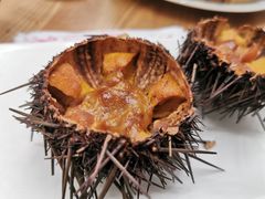 -海胆小馆(东北水饺·春柳店)