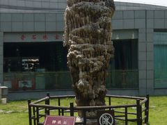 -金钉子远古世界景区