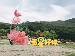 -北京西山国家森林公园