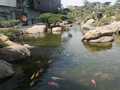 -罗红摄影艺术馆