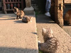 -老屋咖啡