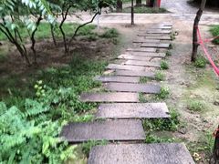 -海棠花溪(元大都城垣遗址公园)