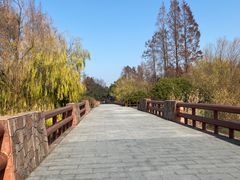 -上海滨江森林公园