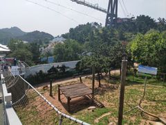 -西霞口神雕山野生动物世界